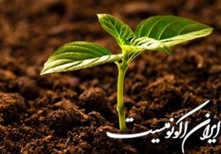 آلوده‌کردن خاک در برخی کشورها حکم  اعدام  دارد!