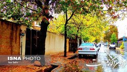 بارش باران در پایتخت