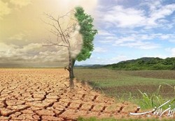 گذر از خشکسالی با اجرای پروژه‌های دانش‌بنیان ایرانی  بیابان‌زدایی  با فناوری  شورورزی 