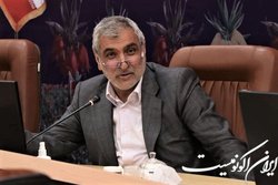 سیاستهای حوزه تولید به خوبی اجرا نشد