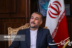 امیرعبداللهیان: حل چالش‌ جهانی محیط‌زیست نیازمند همکاری دولت‌ها و مجامع بین‌المللی است