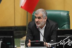 نیکزاد: مجلس برای تحقق فرامین رهبری در کنار دولت ایستاده است