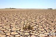 اقدام فائو برای تحول مدیریت مناطق خشک