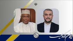 رایزنی امیر عبداللهیان با دبیرکل سازمان همکاری اسلامی در خصوص تعرض اخیر به مسجد الاقصی