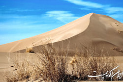 سرعت گسترش بیابان در کشور نسبت به احیا ۳ برابر است
