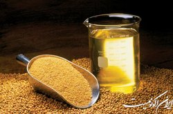 بازار کنجاله سویا آرام گرفت