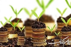 اعطای خدمات مالی ۷۰ هزار میلیارد ریالی صندوق‌ها به فناوران