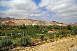 اجرای پایلوت حفظ و یکپارچه‌سازی اراضی کشاورزی در هر شهرستان
