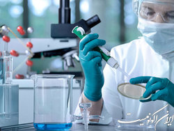 دومین نمایشگاه ارائه دستاوردهای نانوفناوری خراسان رضوی برگزار می‌شود