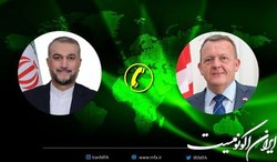 گفت وگوی امیرعبداللهیان با همتای دانمارکی