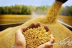 تاخیر ترخیص مواد اولیه هزینه های مضاعف تحمیل می کند