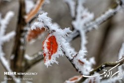 هشدار هواشناسی کشاورزی برای کاهش دما در روزهای آتی