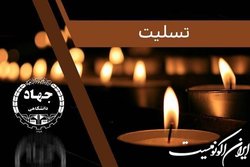پیام تسلیت رییس جهاد دانشگاهی به مناسبت درگذشت دکتر عماد افروغ