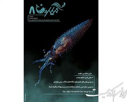 نشریه «نیلگون» منتشر شد
