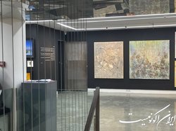 این تابلوها از روی دیوار با شما حرف می‌زنند!