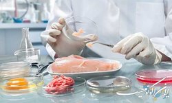 کارگاه «میکروبیولوژی مواد غذایی» برگزار می‌شود