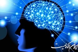 حمایت از ۴۰۰ طرح پژوهشی علوم شناختی در سال‌های اخیر