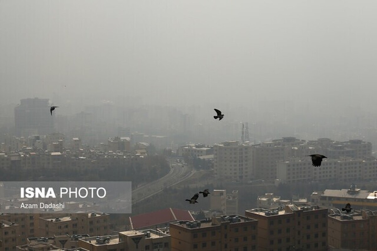 وزش باد در غرب و جنوب استان