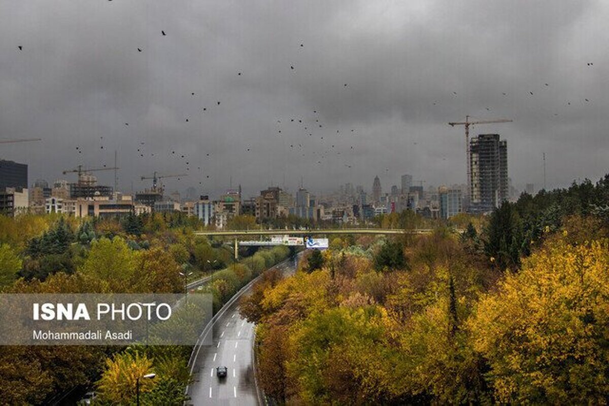 افزایش ارتفاع موج به بیش از ۱.۵ متر در شمال کشور