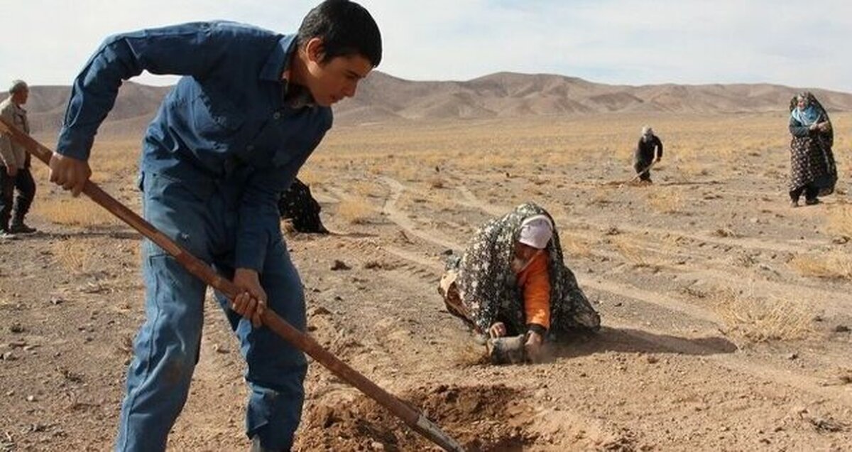 رویکردهای جذب مشارکت جوامع محلی در مناطق روستایی