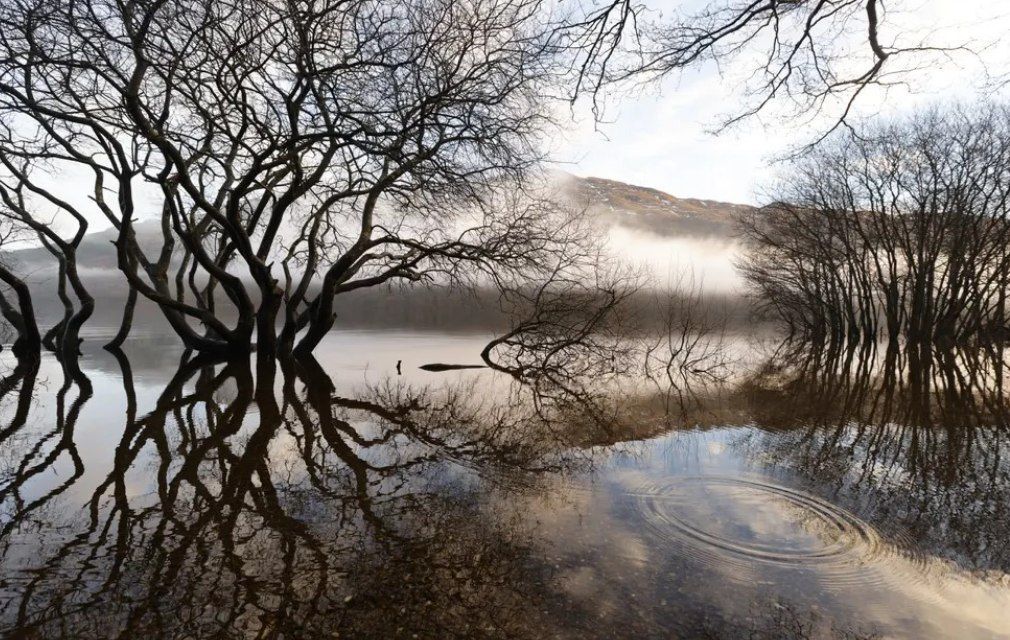 مناظر برفی بی نظیر