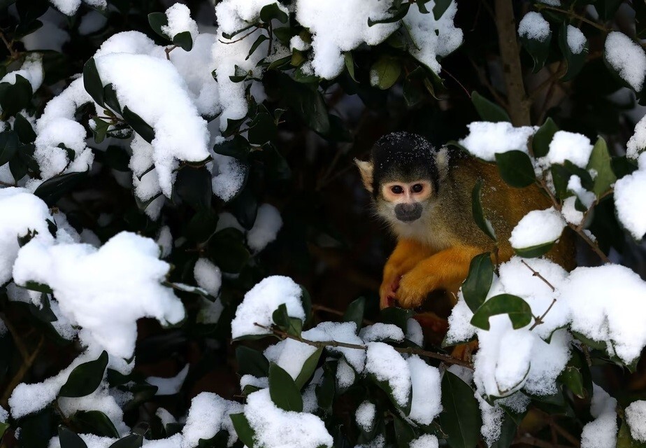 دانلود عکس/سرزمین برف و یخ