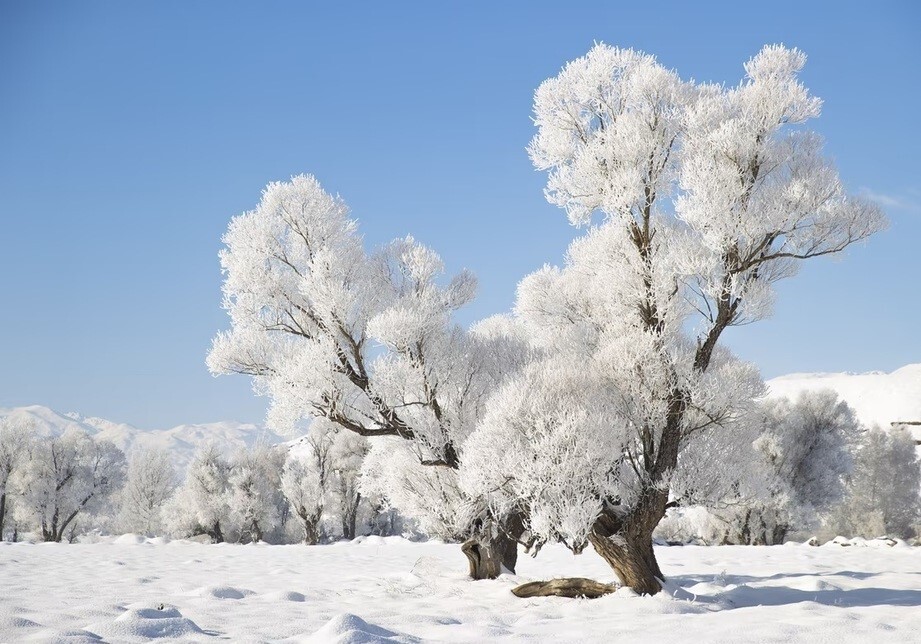 دانلود عکس/سرزمین برف و یخ