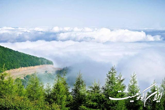 دانلود عکس/ اینجا ایران است جنگل ابر شاهرود