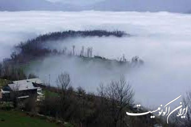 دانلود عکس/ اینجا ایران است جنگل ابر شاهرود