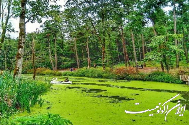 دانلود عکس/ اینجا ایران است مرداب سراوان