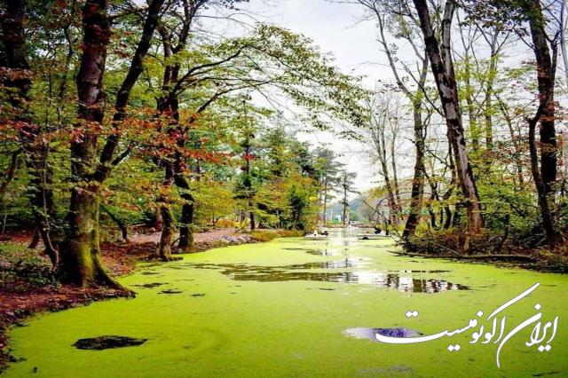 دانلود عکس/ اینجا ایران است مرداب سراوان