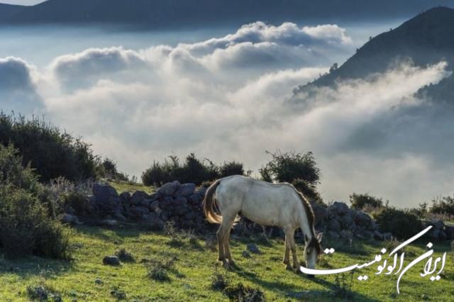 دانلود عکس/ اینجا ایران است فیلبند