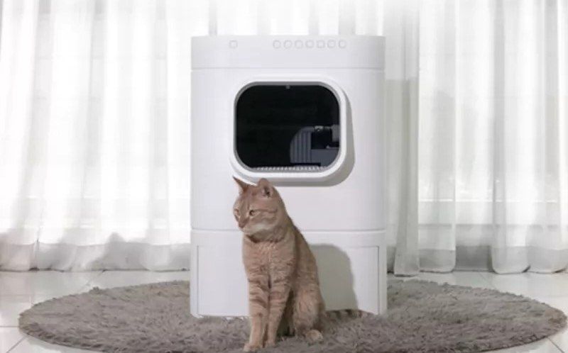 پیشگویی درباره هوش مصنوعی