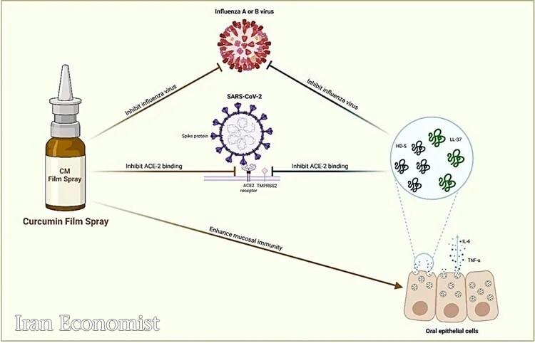 کشف یک مبارز قوی برای مقابله با ویروس ها