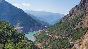 دانلود عکس/ جنگلی های زیبای ایران