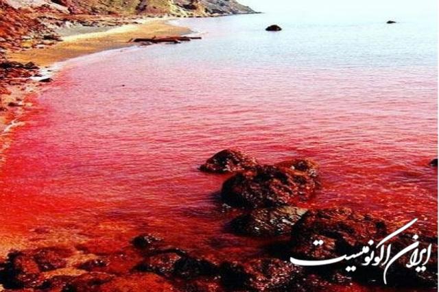 دانلود عکس/ اینجا ایران است ساحل خونی(سرخ)