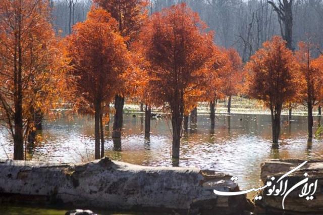 دانلود عکس/ اینجا ایران است دریاچه الندان دانلود عکس/ اینجا ایران است دریاچه الندان