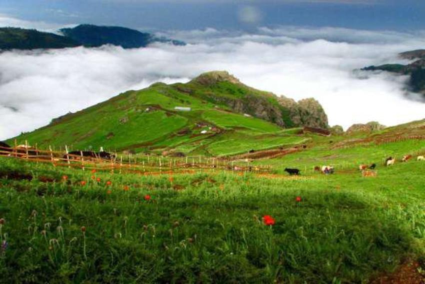 زیبایی ببینید/جاده رويايي سياهكل به ديلمان، زمستان یا دهکده ی زانوس