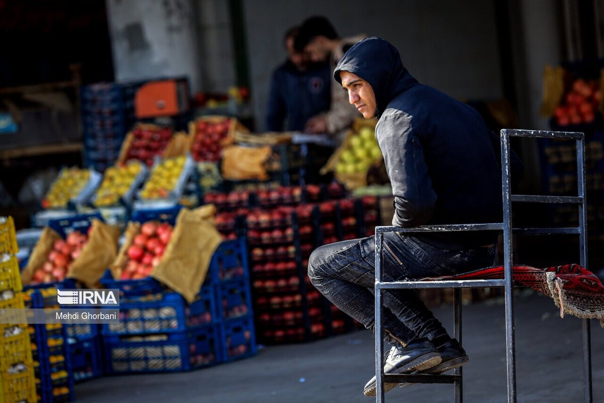 عرضه میوه عید با قیمت تنظیم بازار از این هفته در استان تهران