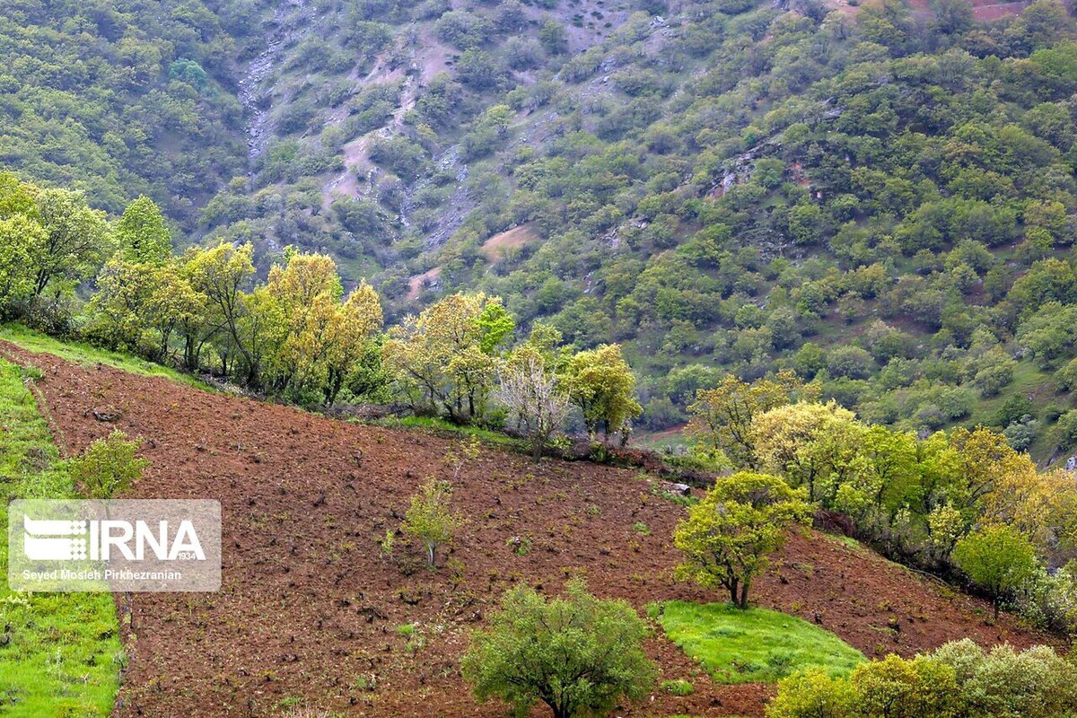 حفاظت از منابع طبیعی تعطیل‌پذیر نیست؛ حتی در ایام نوروزی