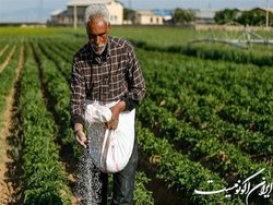 آغاز همکاری «فائو» با ایران برای افزایش بهره‌وری تولید
