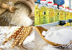 برگزاری نخستین نشست مشورتی کمیته ارزی کالاهای اساسی