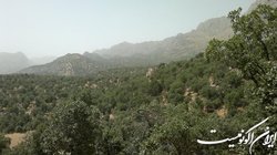 طرح جنگل‌کاری برای عرصه‌های مستعد تهیه می‌شود