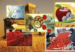 برنامه های گم شده در وزارت جهاد کشاورزی