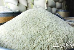 برنج خارجی نفس برنج ایرانی را گرفت