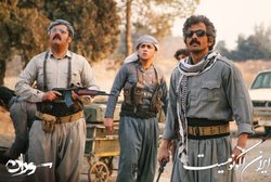 سریال جایگزین «گیلدخت» مشخص شد + تصاویر