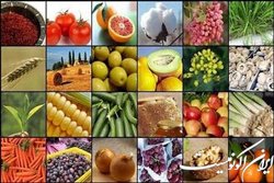 فناوری هسته‌ای روشی راهبردی در افزایش کیفیت محصولات کشاورزی