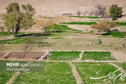 صدور اسناد کشاورزی به کجا رسید؟
