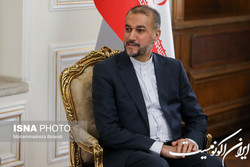 امیرعبداللهیان با وزیر خارجه آفریقای جنوبی دیدار کرد