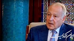احمدابوالغیط: همگرایی مصر، عربستان و امارات به تغییر اساسی در منطقه عربی می‌انجامد